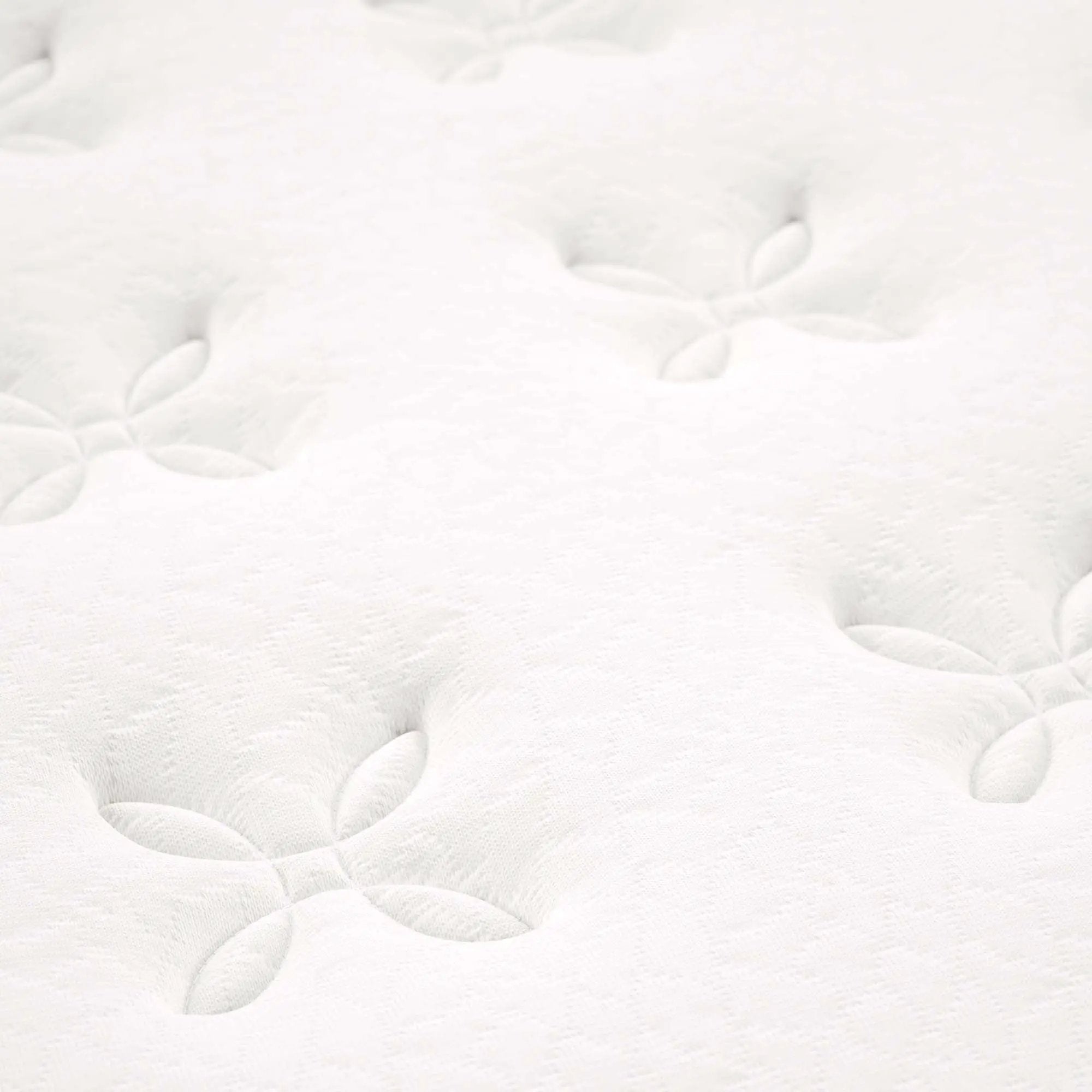Jenna 10" Innerspring and Foam Mattress by Modway by HouseOfZazla