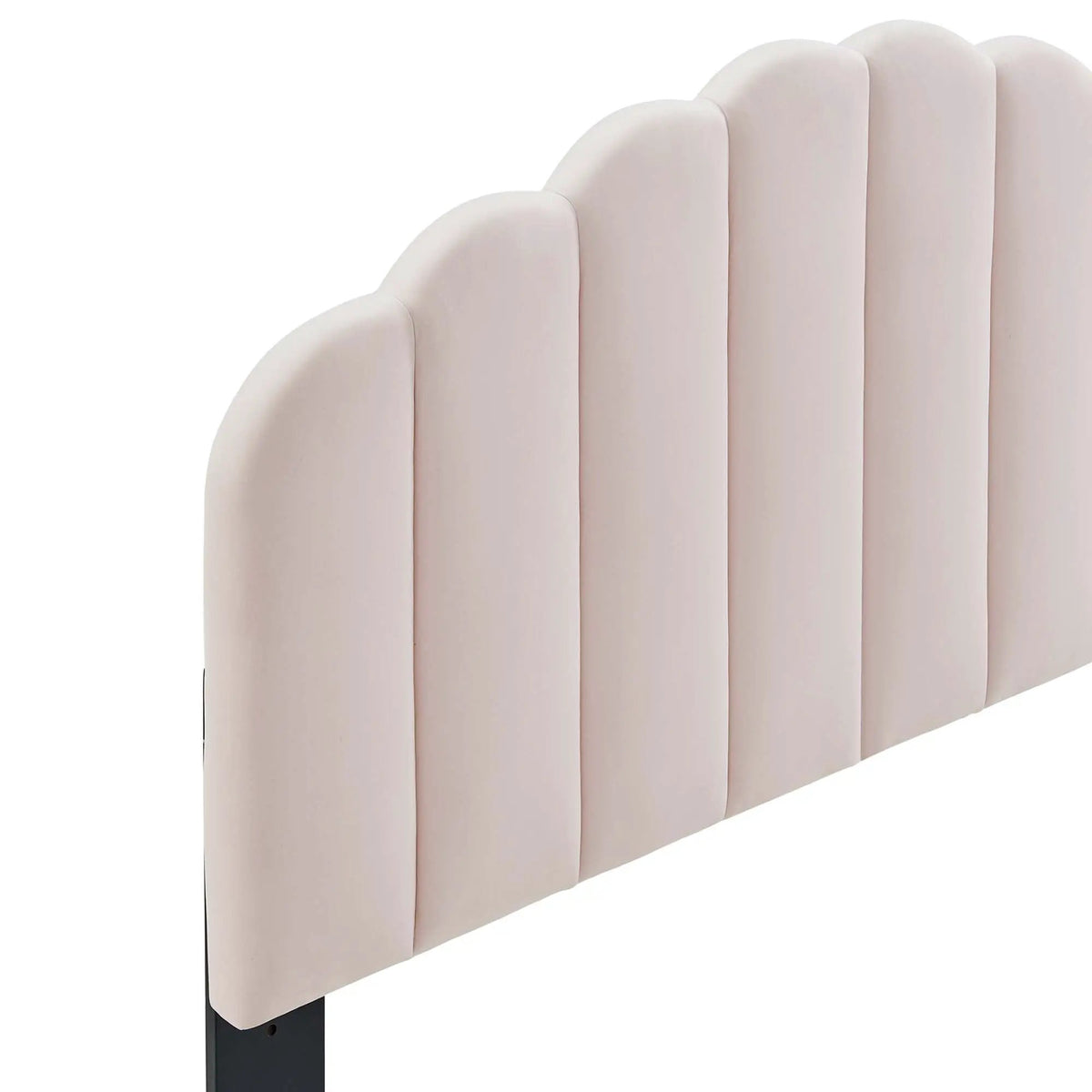 Veronique Performance Velvet Twin Headboard by Modway by HouseOfZazla