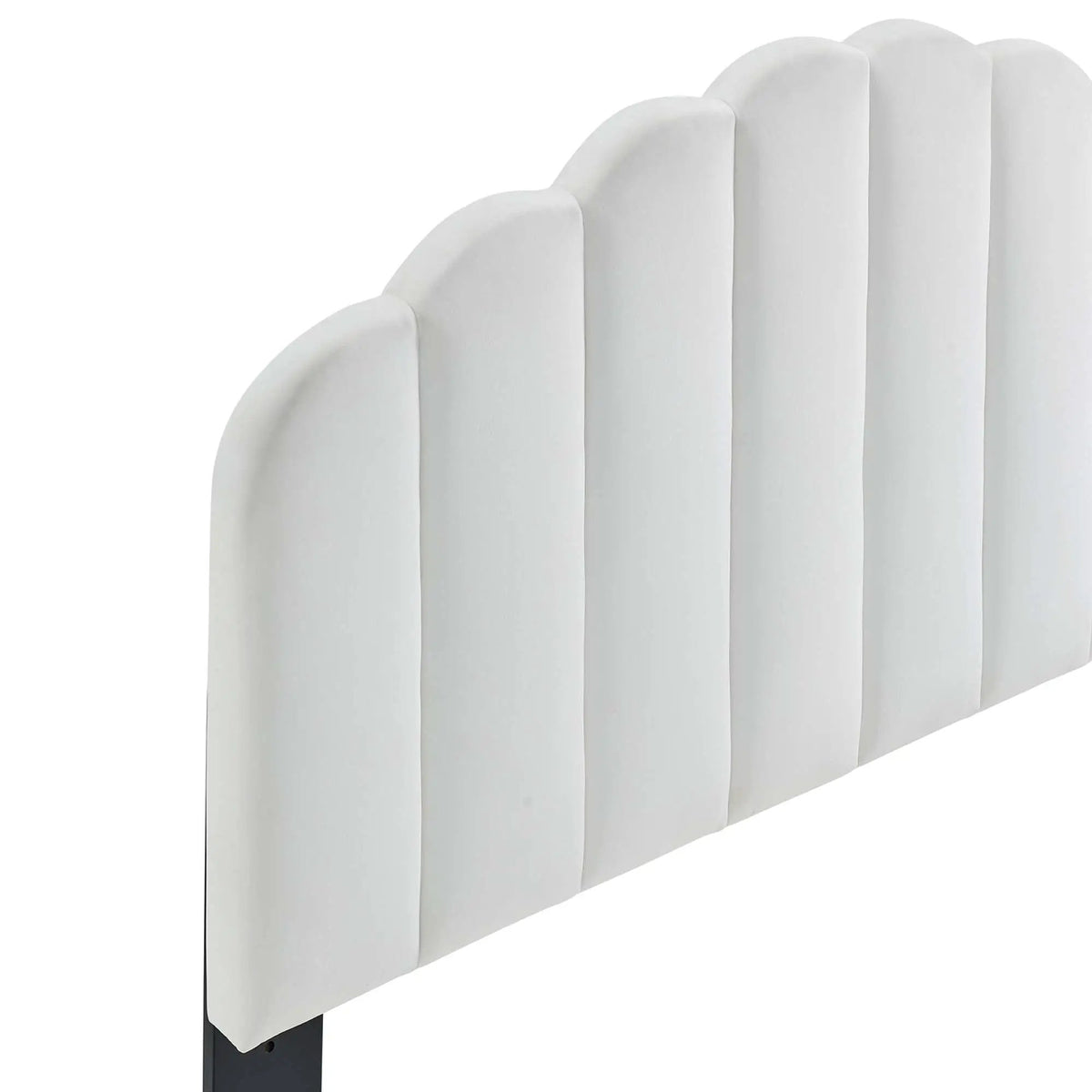 Veronique Performance Velvet Full/Queen Headboard by Modway by HouseOfZazla
