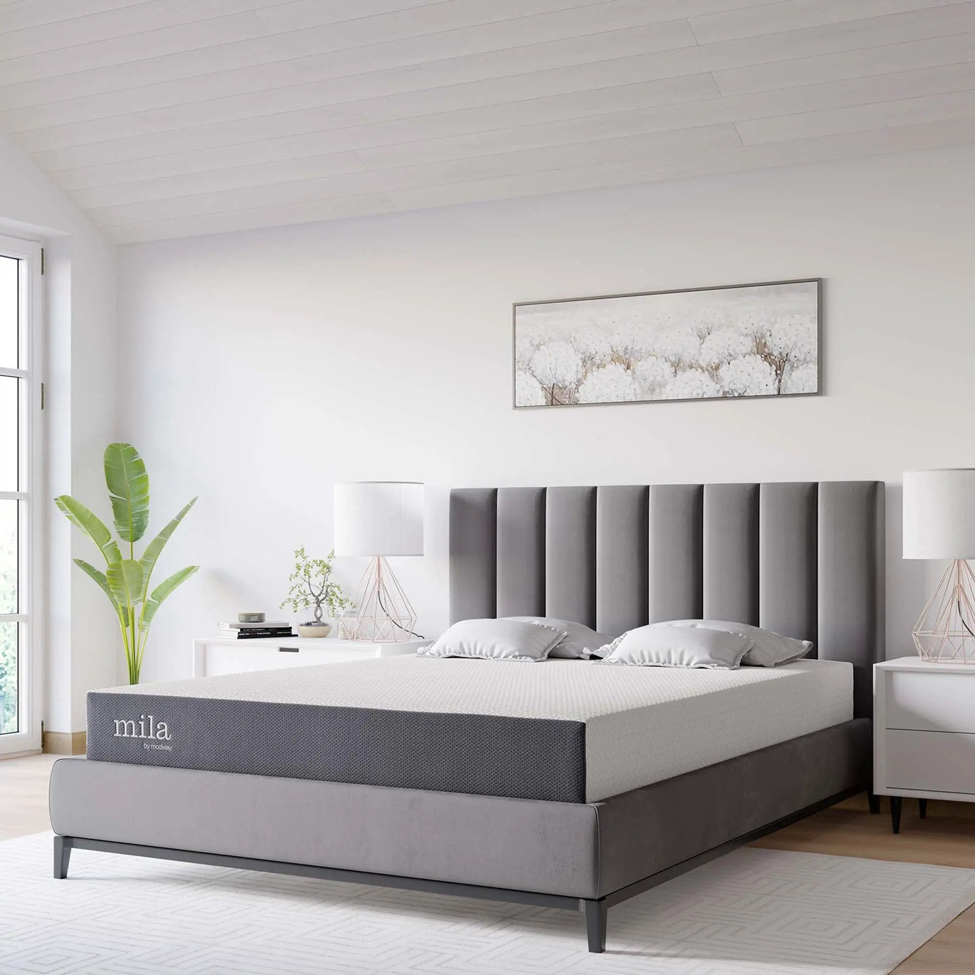 Mila 8" Memory Foam Mattress by Modway by HouseOfZazla