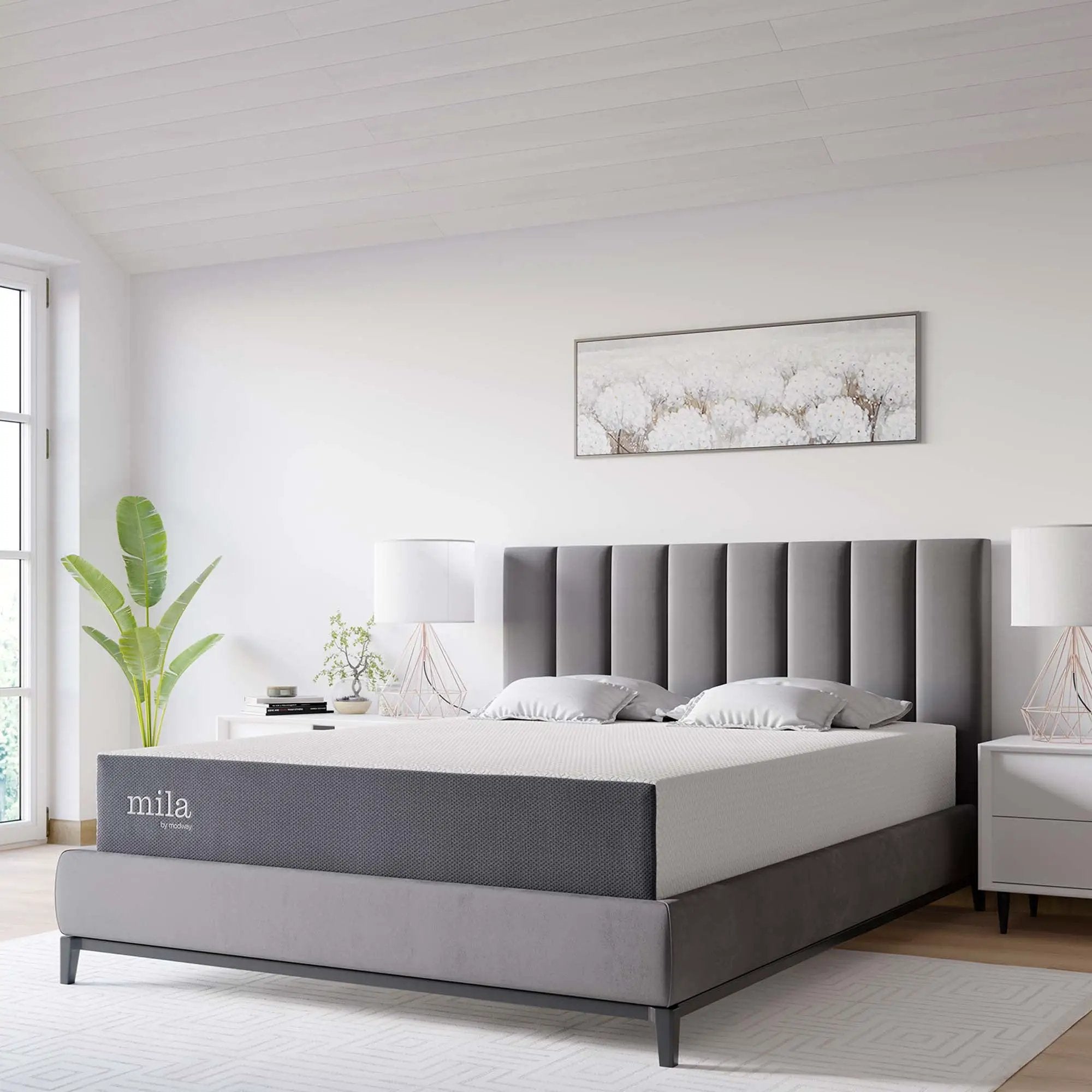 Mila 10" Memory Foam Mattress by Modway by HouseOfZazla