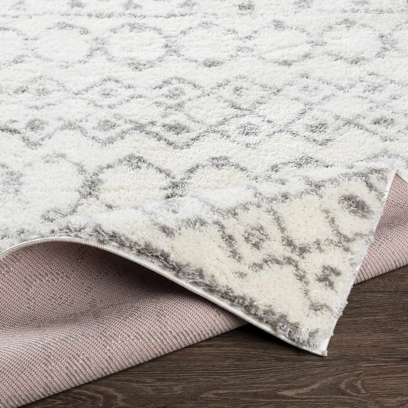 Monarch Area Rug by Boutique Rugs