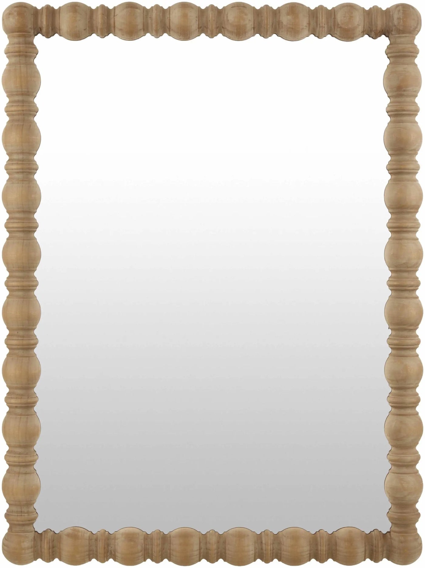 Mbocayaty Accent Mirror by Boutique Rugs