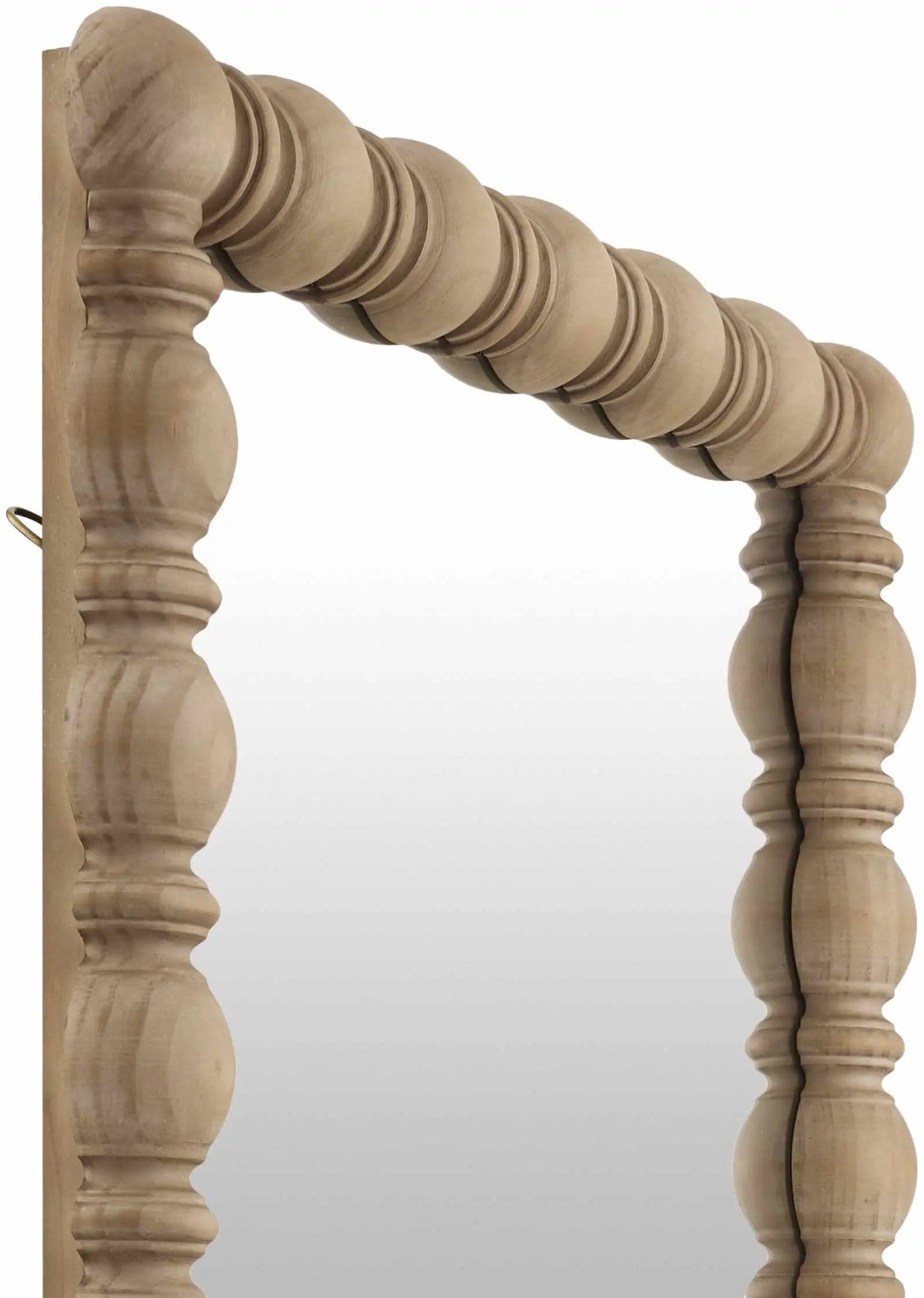 Mbocayaty Accent Mirror by Boutique Rugs