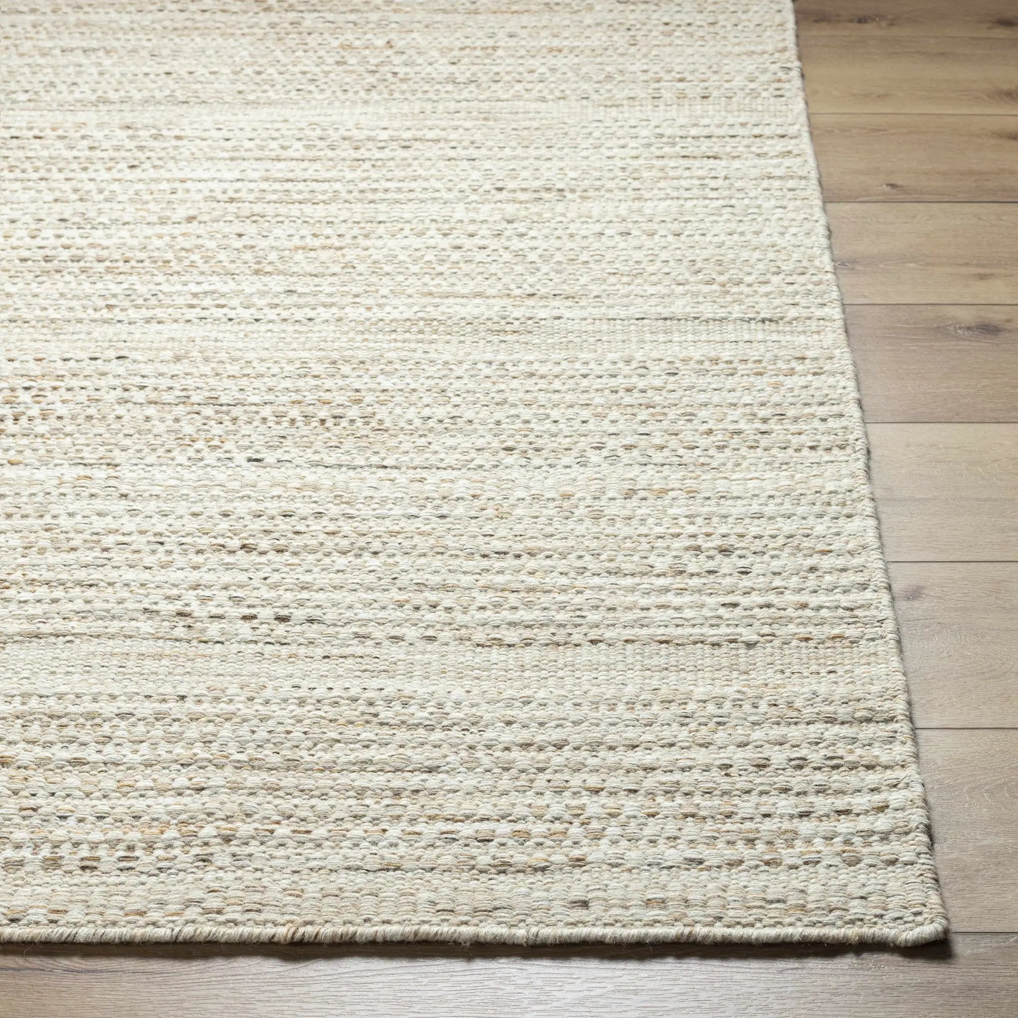 Moshe Area Rug by Boutique Rugs