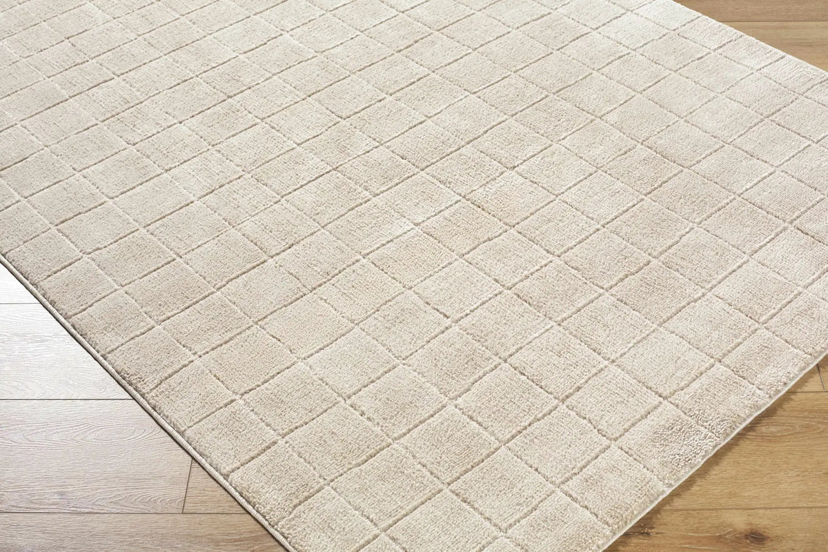 Cascade Checkered Beige Area Rug, photo 9 of 9