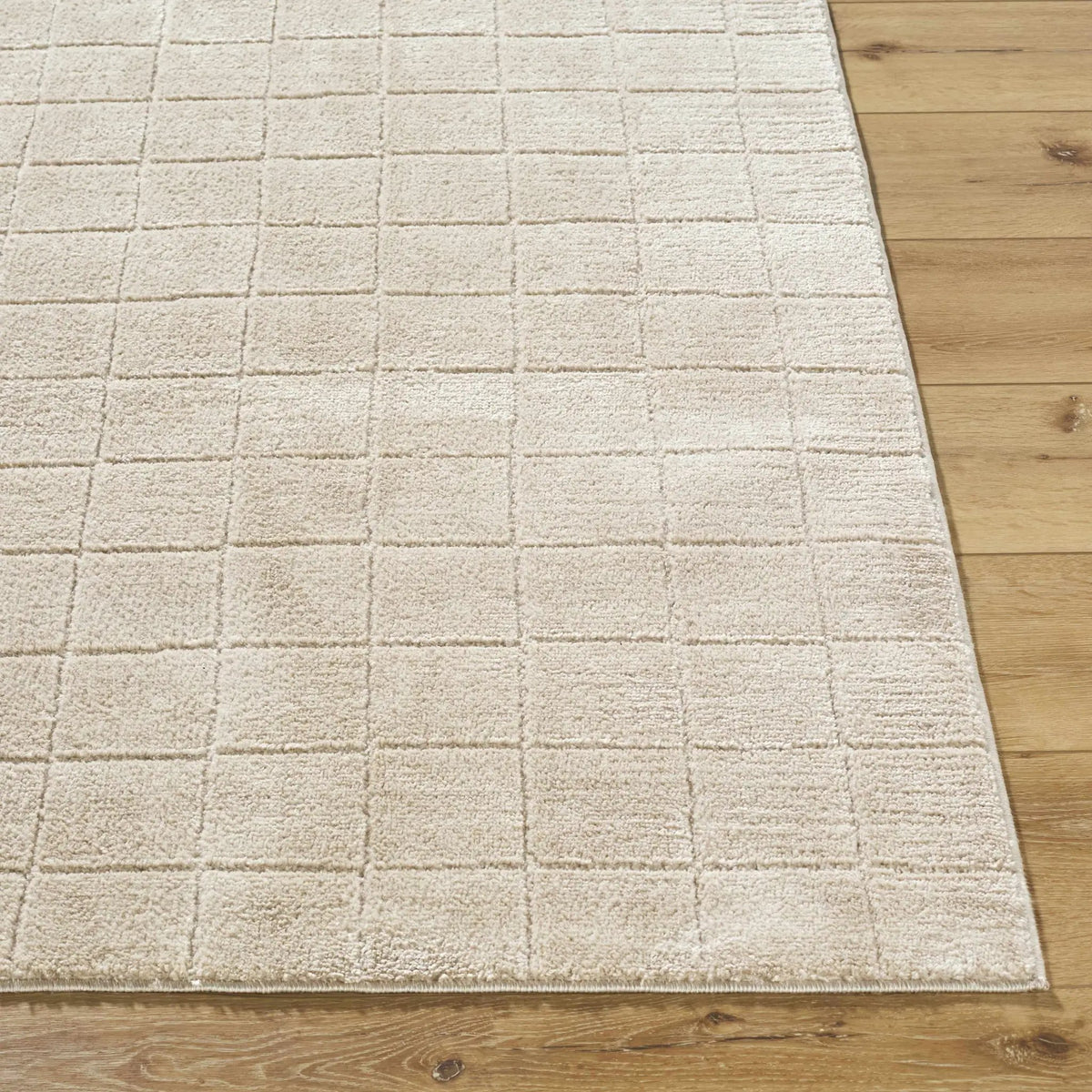 Cascade Checkered Beige Area Rug, photo 5 of 9