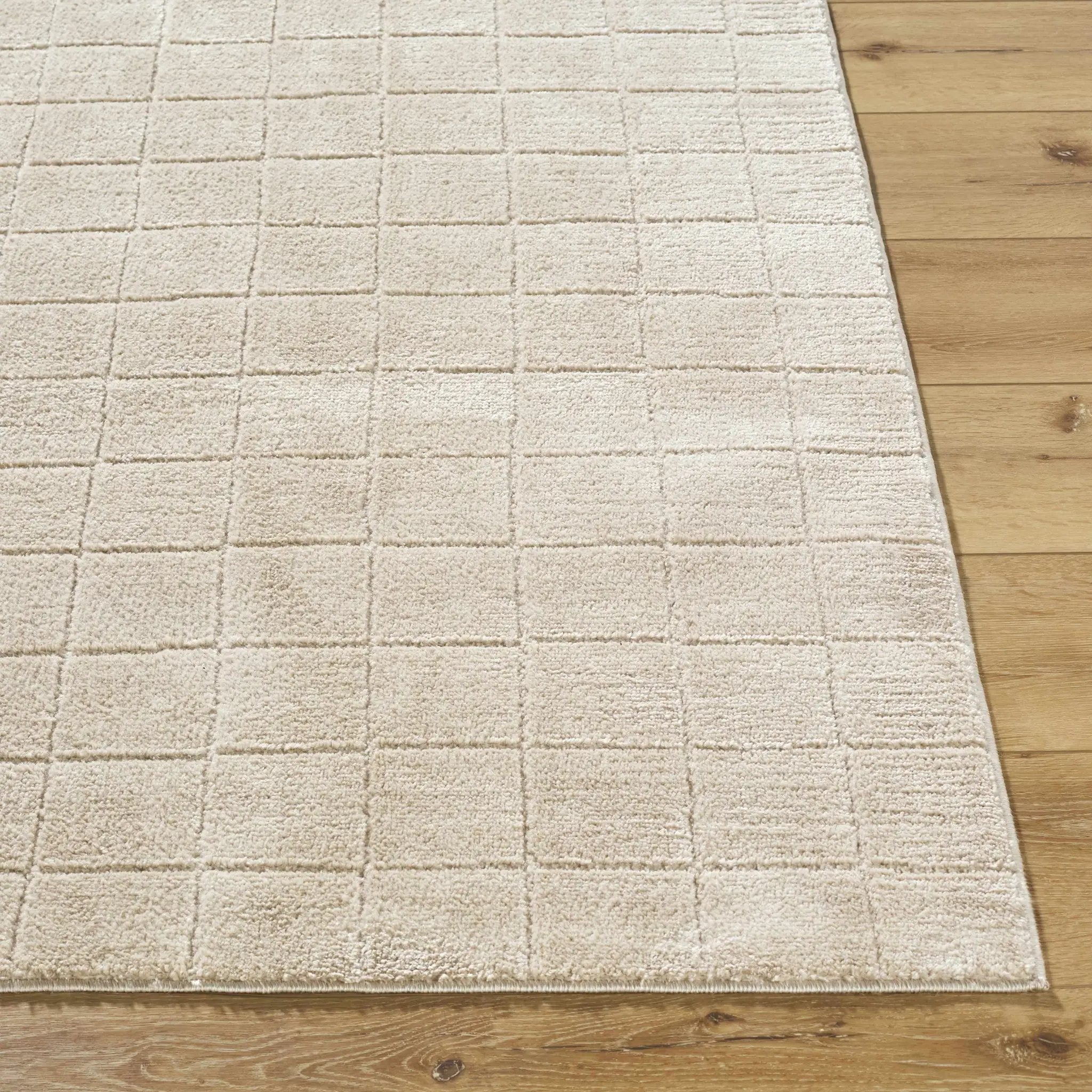 Cascade Checkered Beige Area Rug by Boutique Rugs
