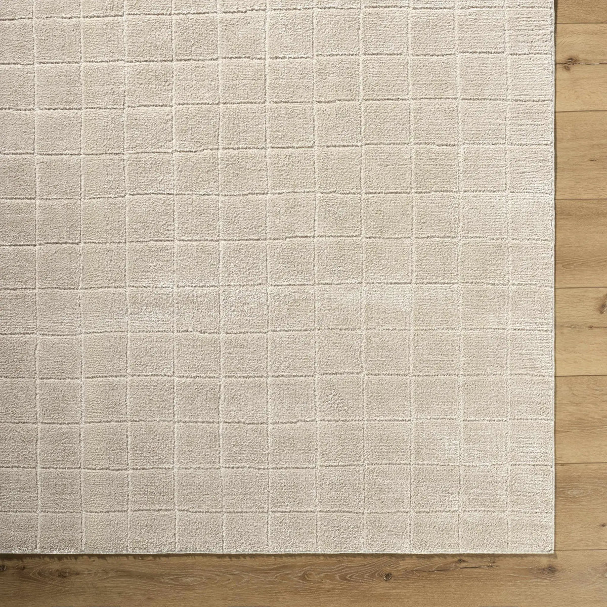 Cascade Checkered Beige Area Rug, photo 7 of 9