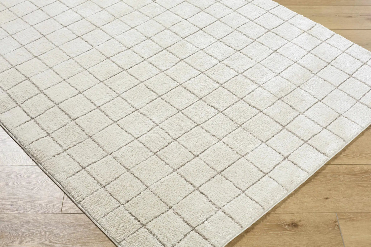 Cascade Checkered Ivory Area Rug, photo 5 of 10