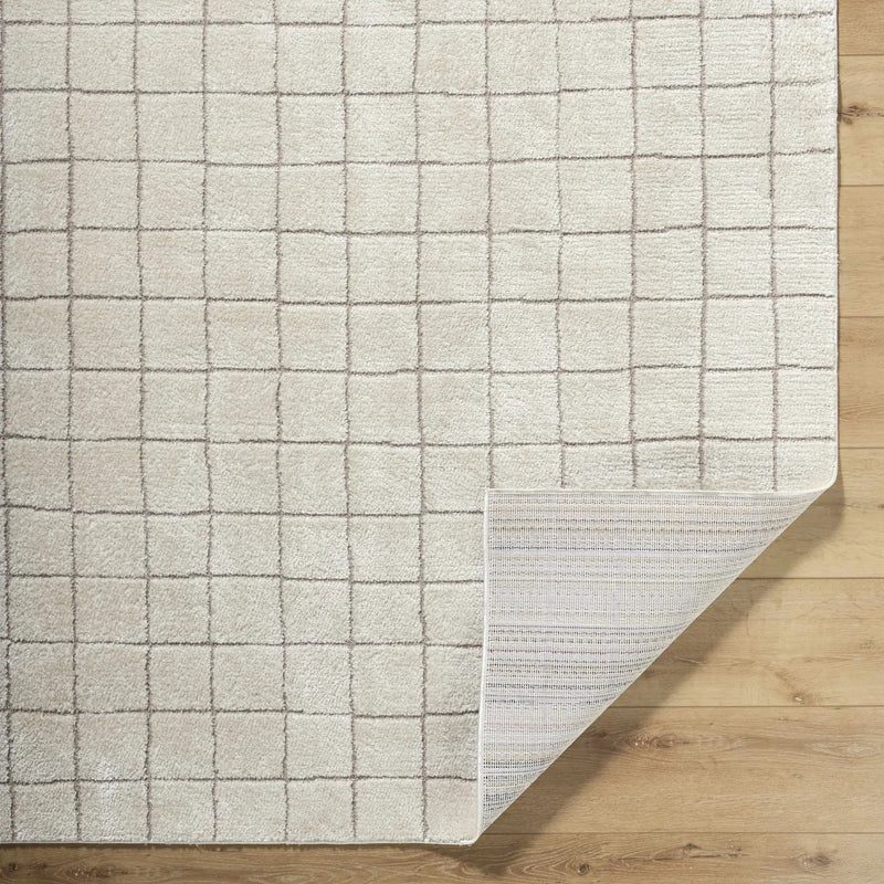 Cascade Checkered Ivory Area Rug by Boutique Rugs