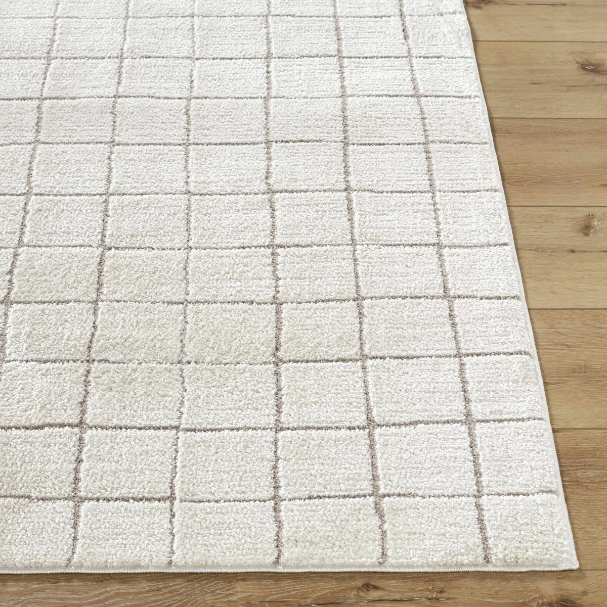 Cascade Checkered Ivory Area Rug, photo 6 of 10