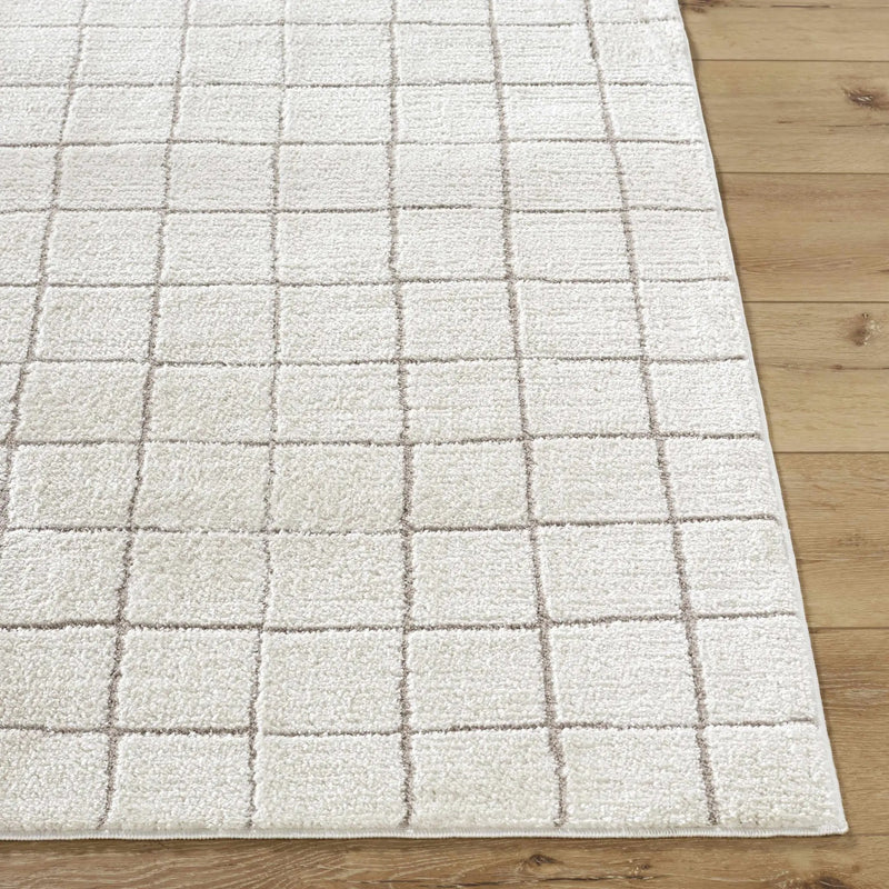 Cascade Checkered Ivory Area Rug by Boutique Rugs