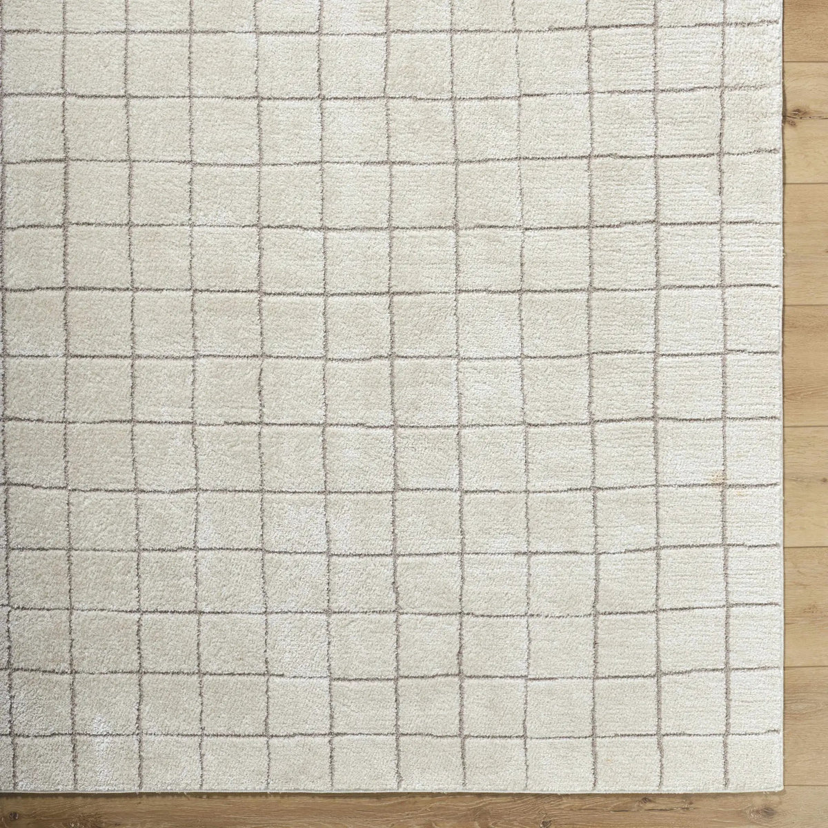 Cascade Checkered Ivory Area Rug, photo 8 of 10