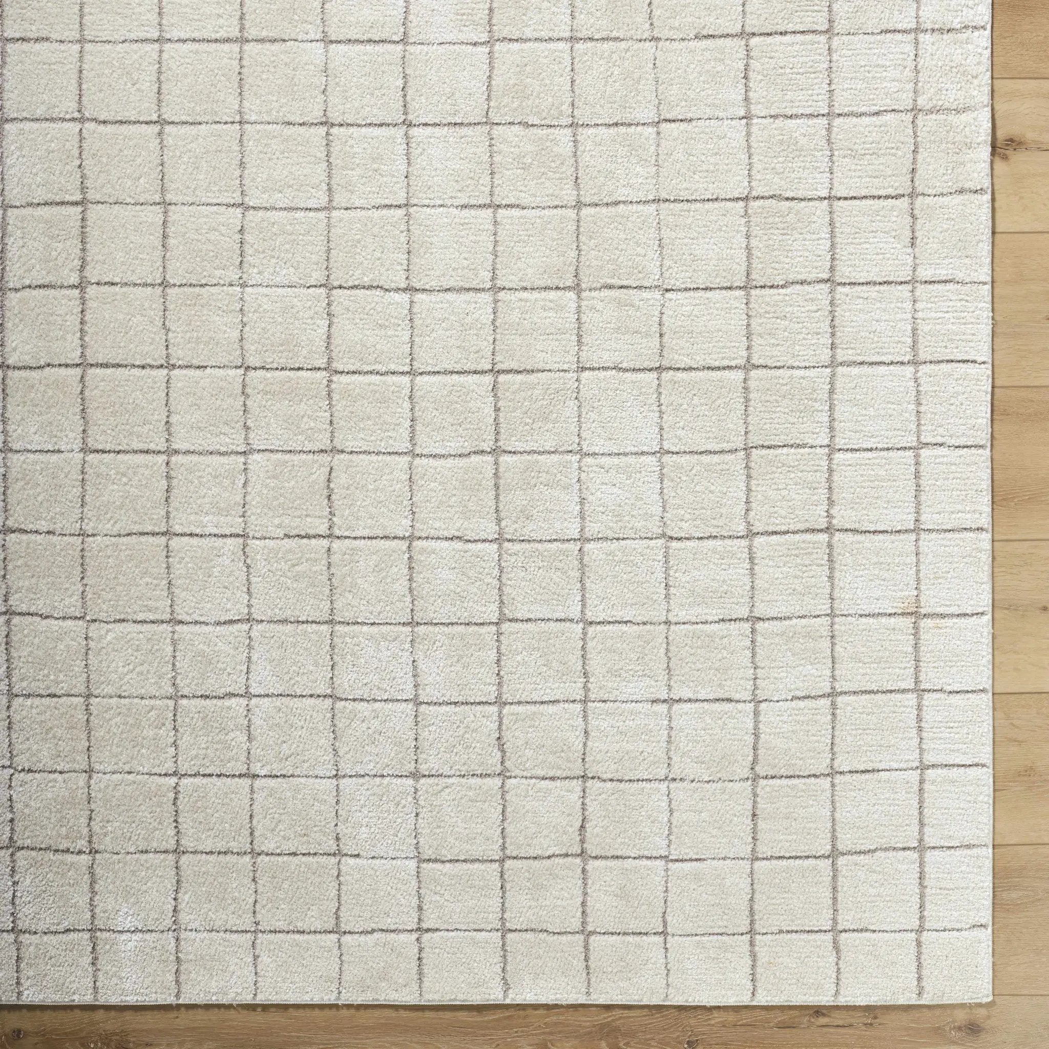 Cascade Checkered Ivory Area Rug by Boutique Rugs
