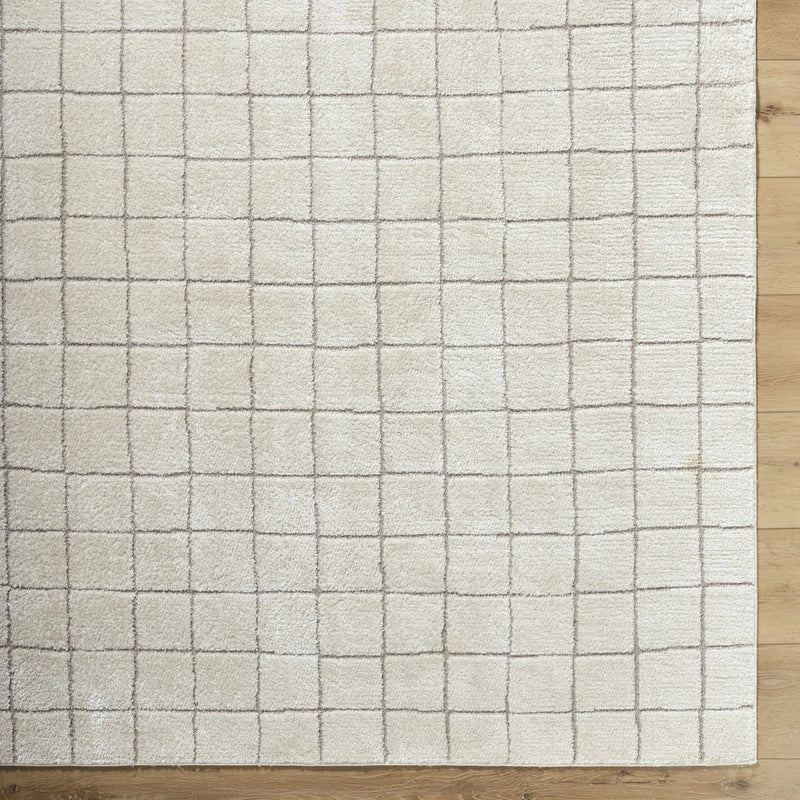 Cascade Checkered Ivory Area Rug by Boutique Rugs