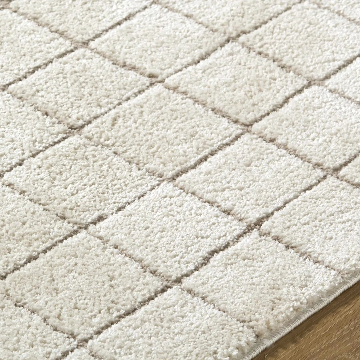 Cascade Checkered Ivory Area Rug, photo 9 of 10