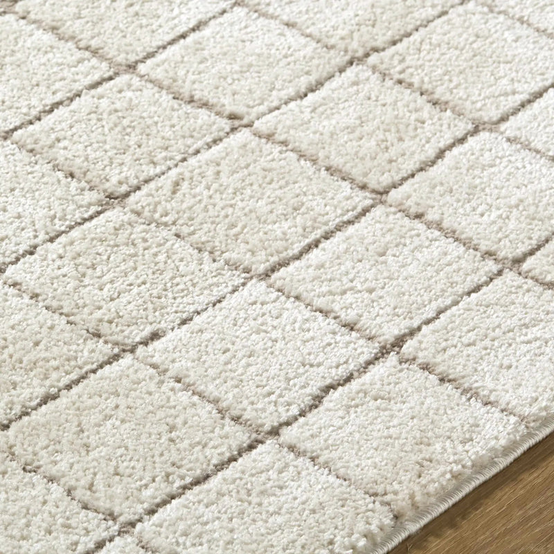 Cascade Checkered Ivory Area Rug by Boutique Rugs