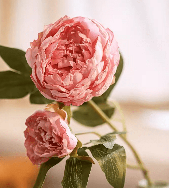 Artificial Sophia 2-Head Peony Stem 20.8" Tall by RusticReach