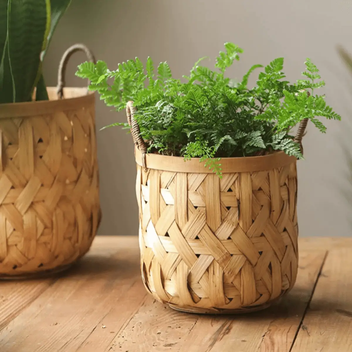Bamboo Woven Storage Basket by RusticReach