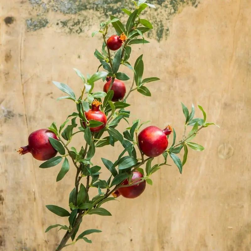 Big Fruit Faux Pomegranate Stem 32" Tall by RusticReach