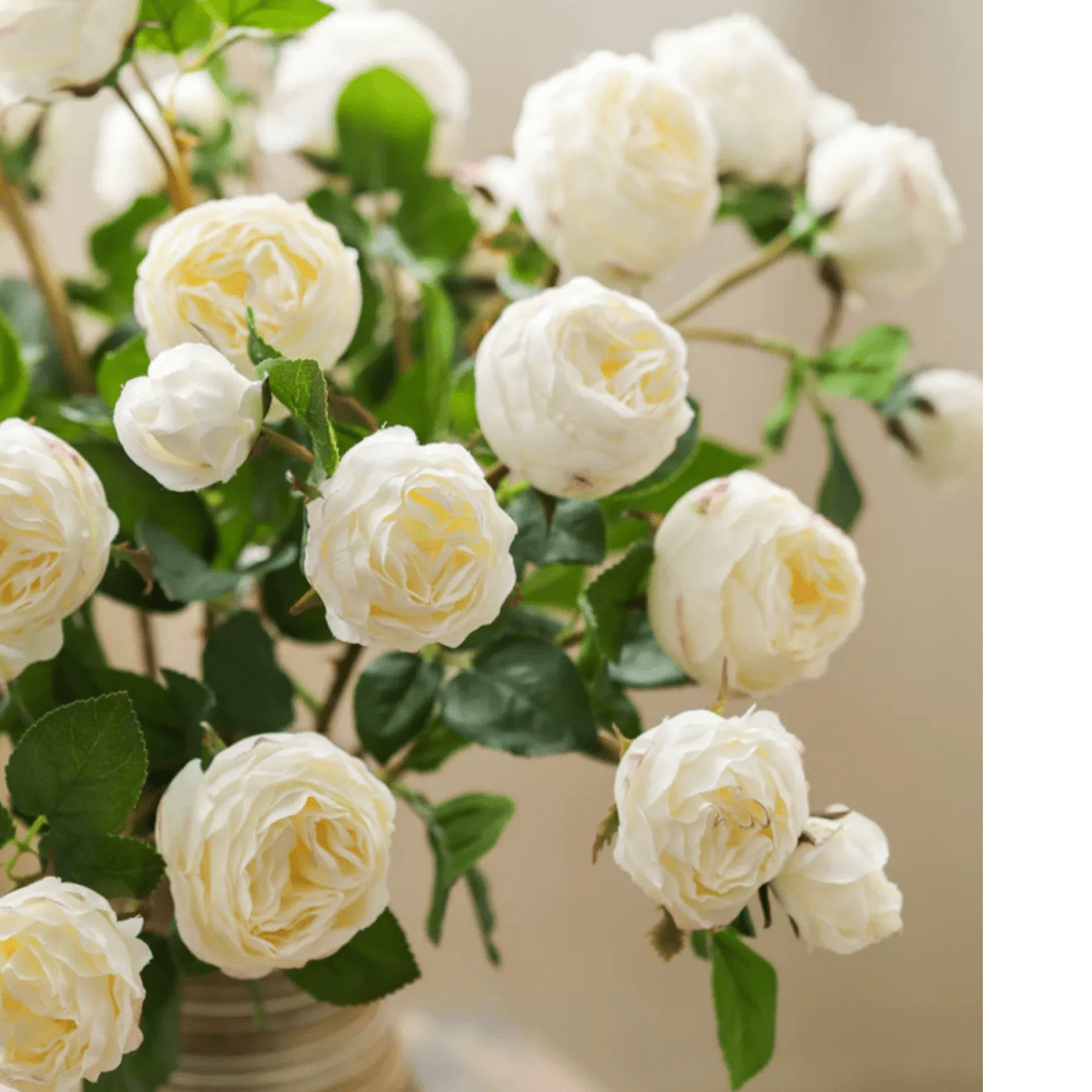 White Cabbage Rose Stem 20.8" Tall by RusticReach