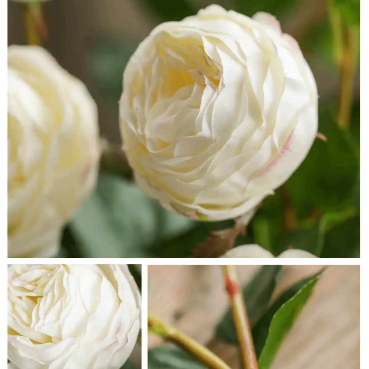 White Cabbage Rose Stem 20.8" Tall by RusticReach