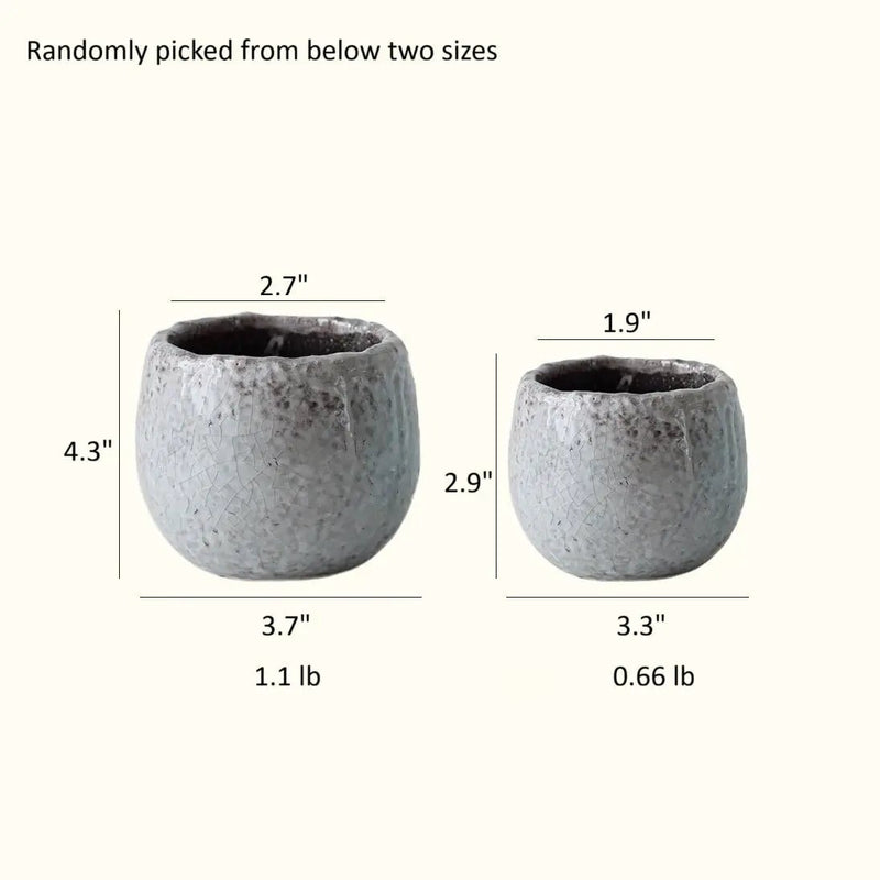 Crackle Glazed Succulent Pot Randomly Picked Set of 5 by RusticReach