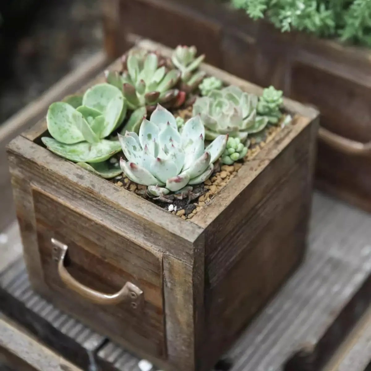 Farmhouse Wooden Box for Succulents or Flowers by RusticReach