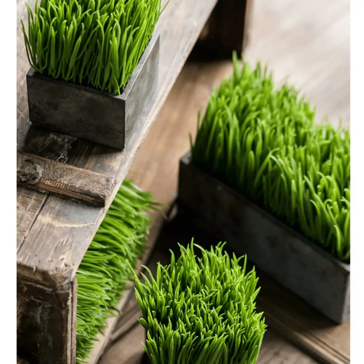Faux Grass in Black Pot by RusticReach