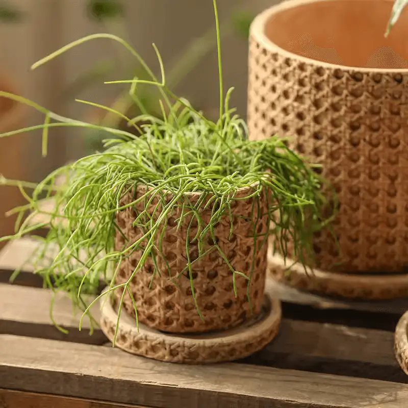 Faux Woven Grid Cement Pot by RusticReach