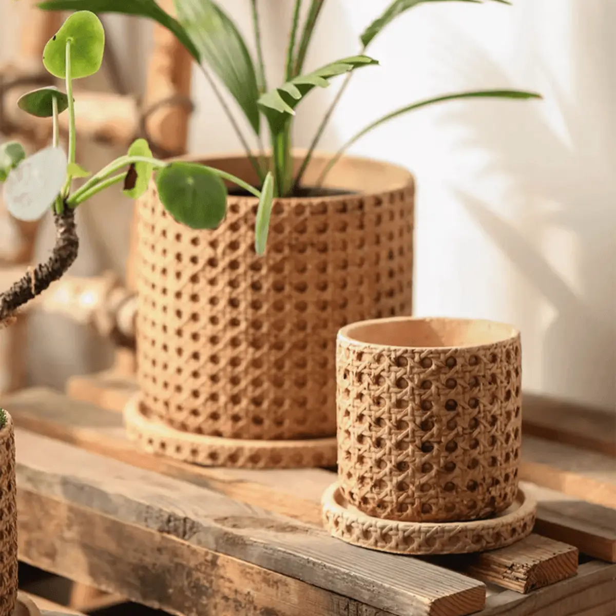 Faux Woven Grid Cement Pot by RusticReach