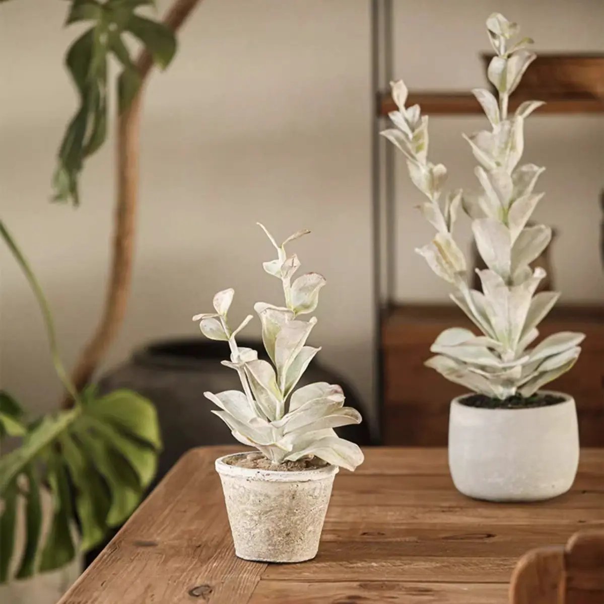 Realistic Green Plant in Ceramic Pot by RusticReach