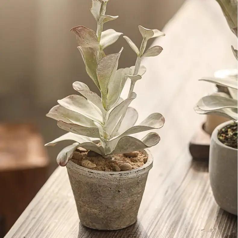 Realistic Green Plant in Ceramic Pot by RusticReach