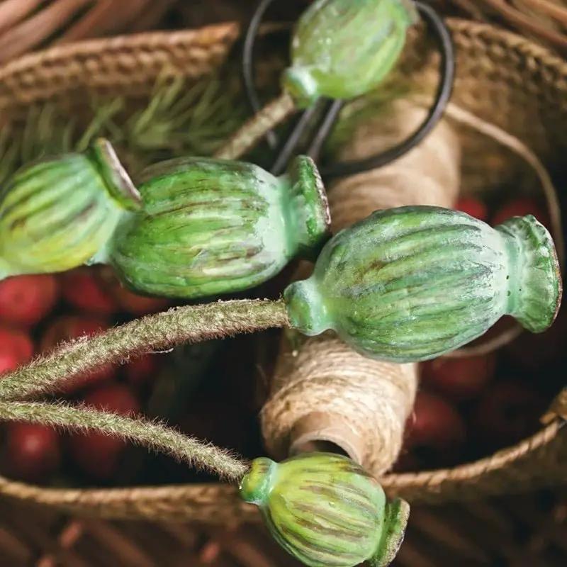 Green Poppy Fruit Stem 30.7" Tall 3-Stem Bundle by RusticReach