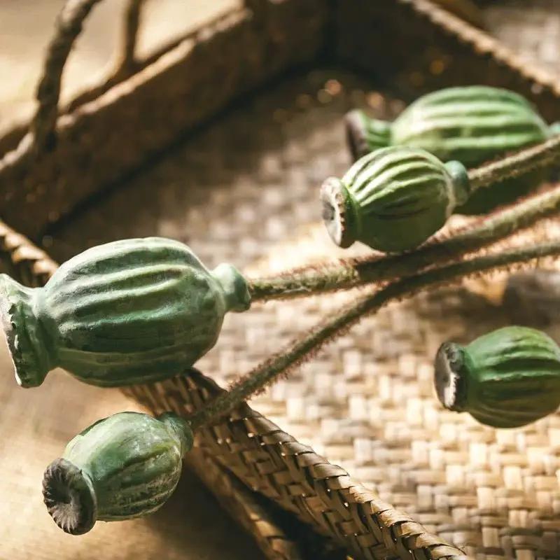 Green Poppy Fruit Stem 30.7" Tall 3-Stem Bundle by RusticReach