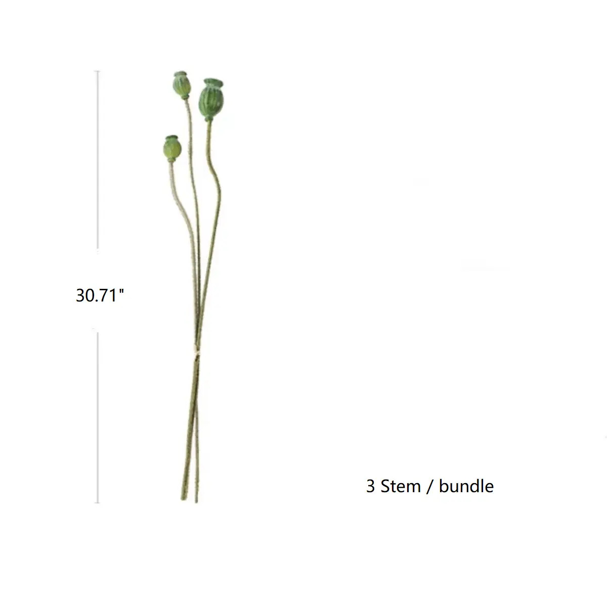 Green Poppy Fruit Stem 30.7" Tall 3-Stem Bundle by RusticReach