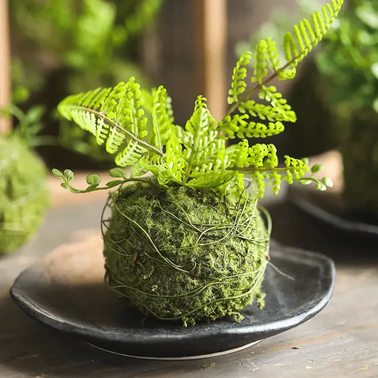 Mossy Meadow Foam Ball by RusticReach