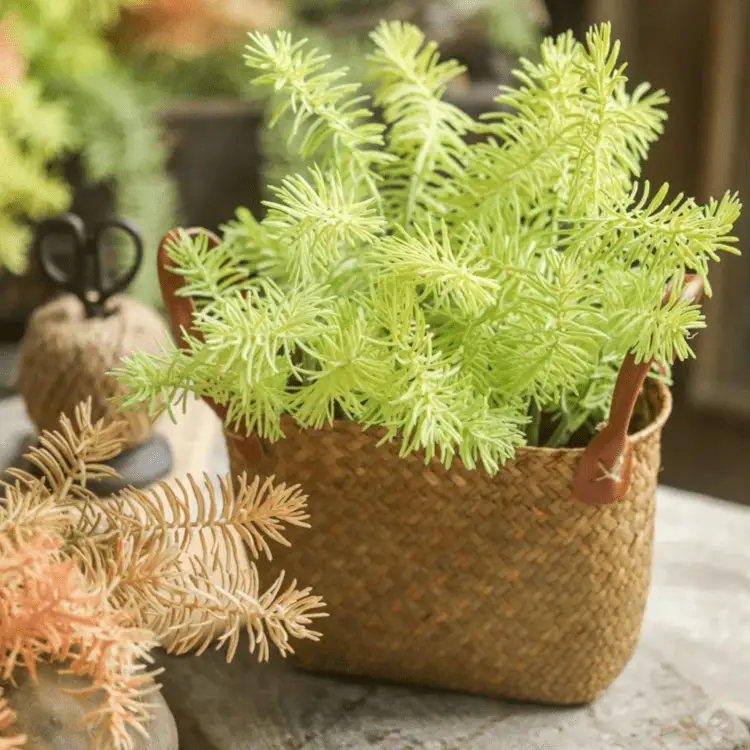Faux Pine Leaf Stem 17.7" Tall by RusticReach