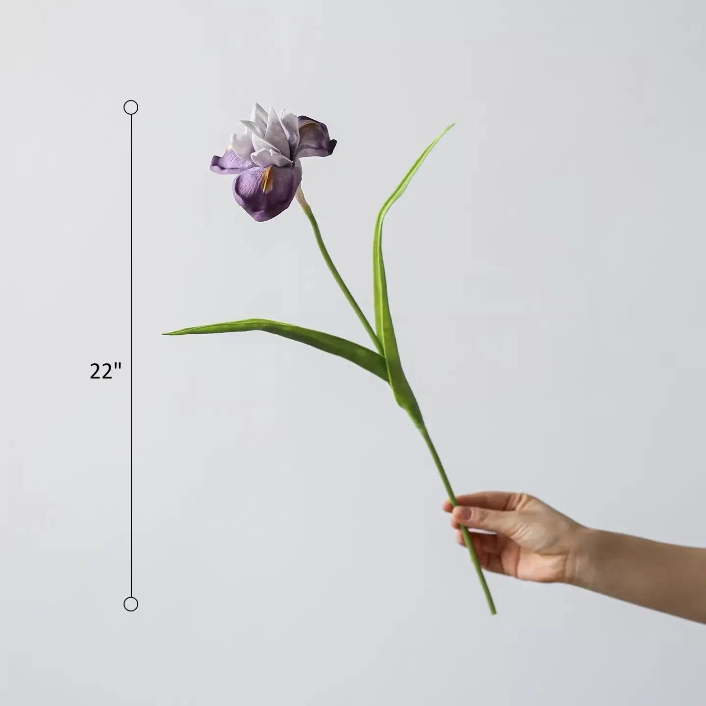 Purple Iris Stem 22" Tall by RusticReach