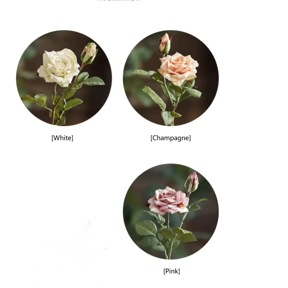 Rolled Edge American Rose Stem 18" Tall by RusticReach