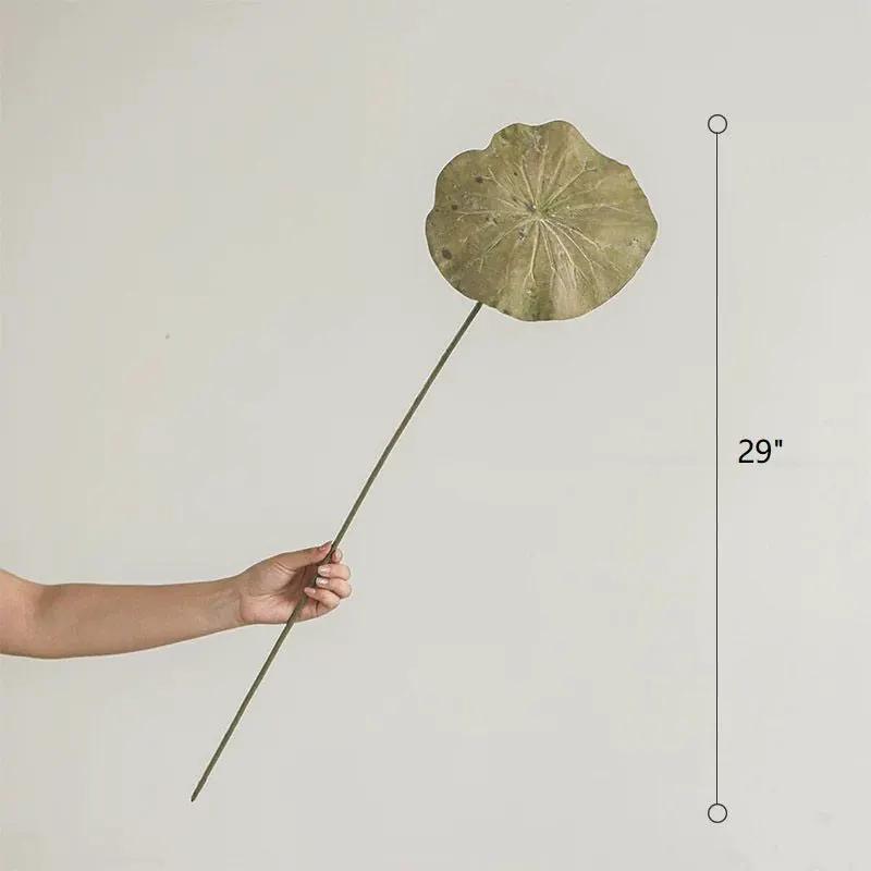 Artificial Rustic Lotus Stem by RusticReach