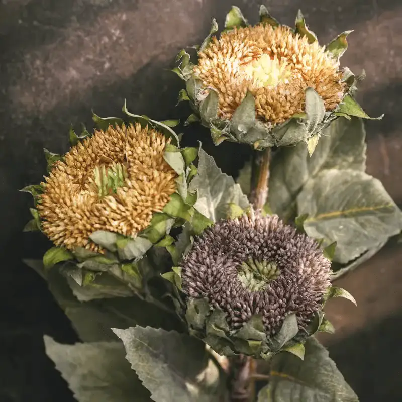 Artificial Small Head Sunflower Stem 23.6" Tall by RusticReach