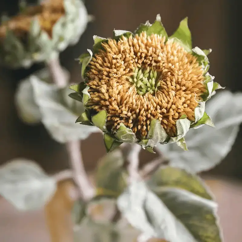 Artificial Small Head Sunflower Stem 23.6" Tall by RusticReach