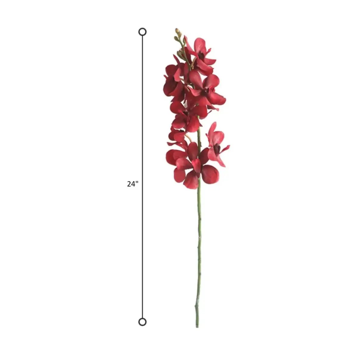 Single Red Orchid Stem 24" Tall by RusticReach