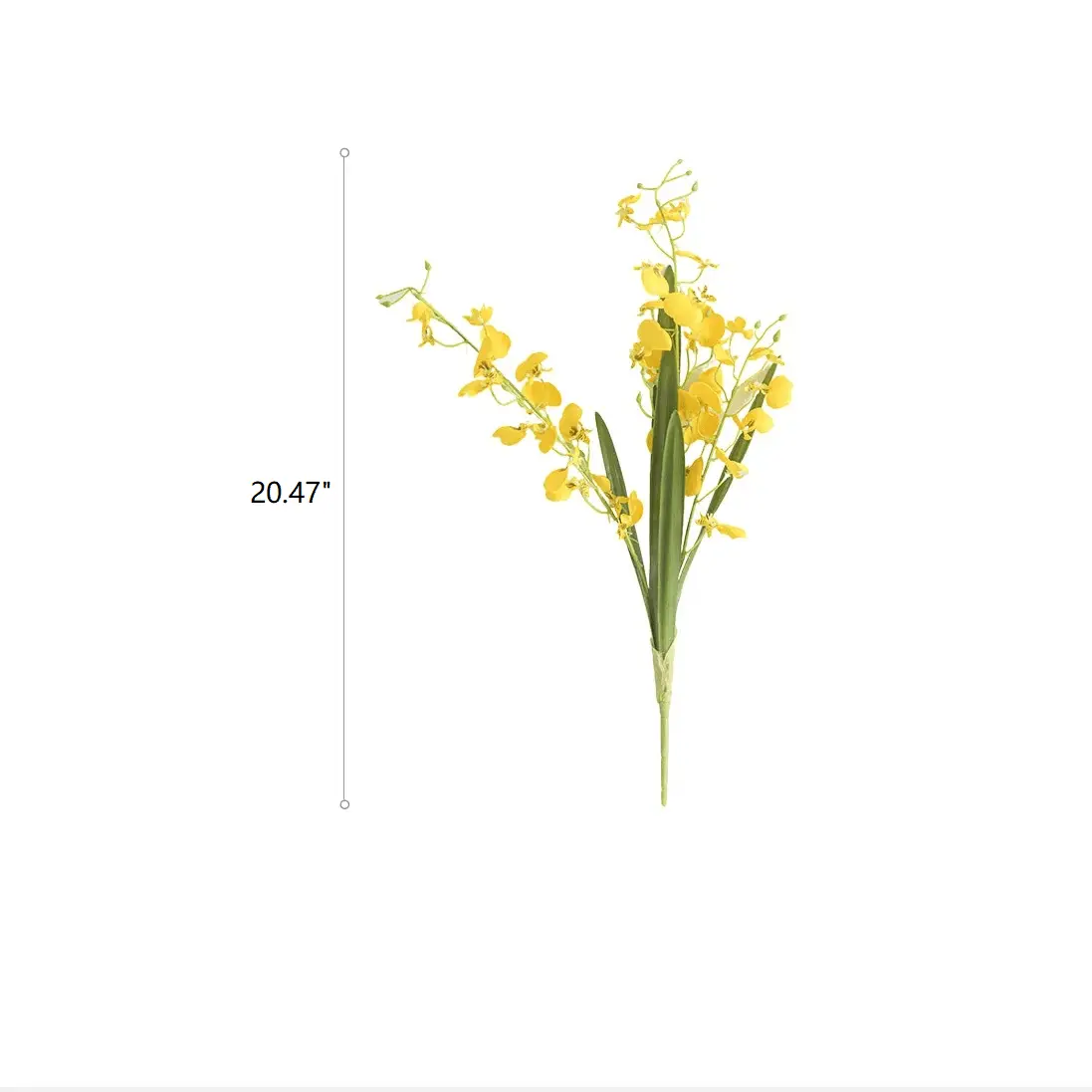 Wendy's Dancing Lady Orchid Stem 20.5" Tall by RusticReach