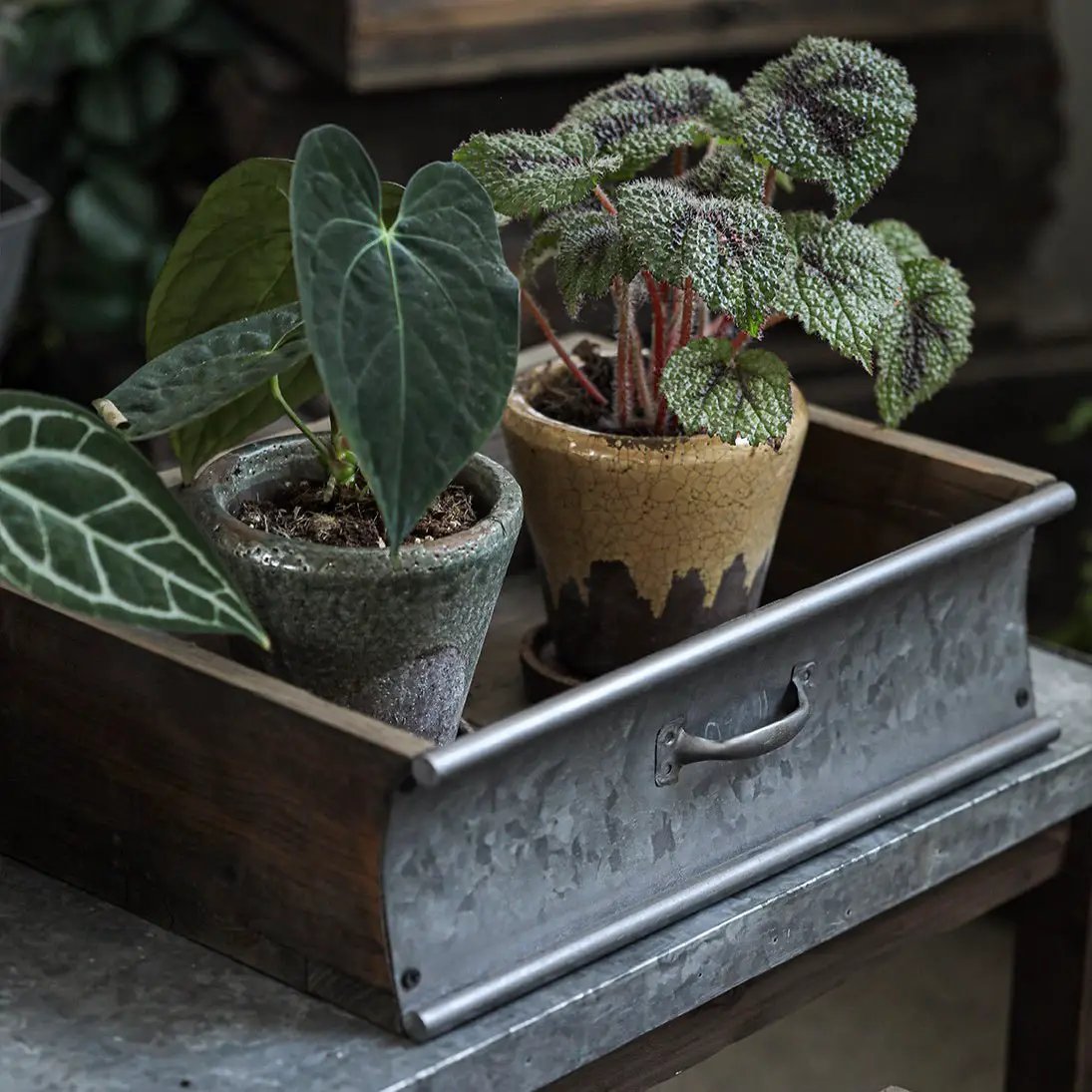 Rustic Wood and Metal Garden Tray Planter by RusticReach