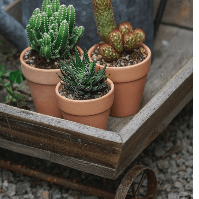 Small Decorative Wooden Wagon Flower Cart by RusticReach