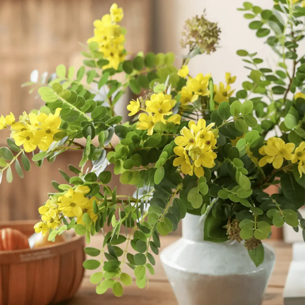 Yellow Acacia Flower Stem 27.5" Tall by RusticReach