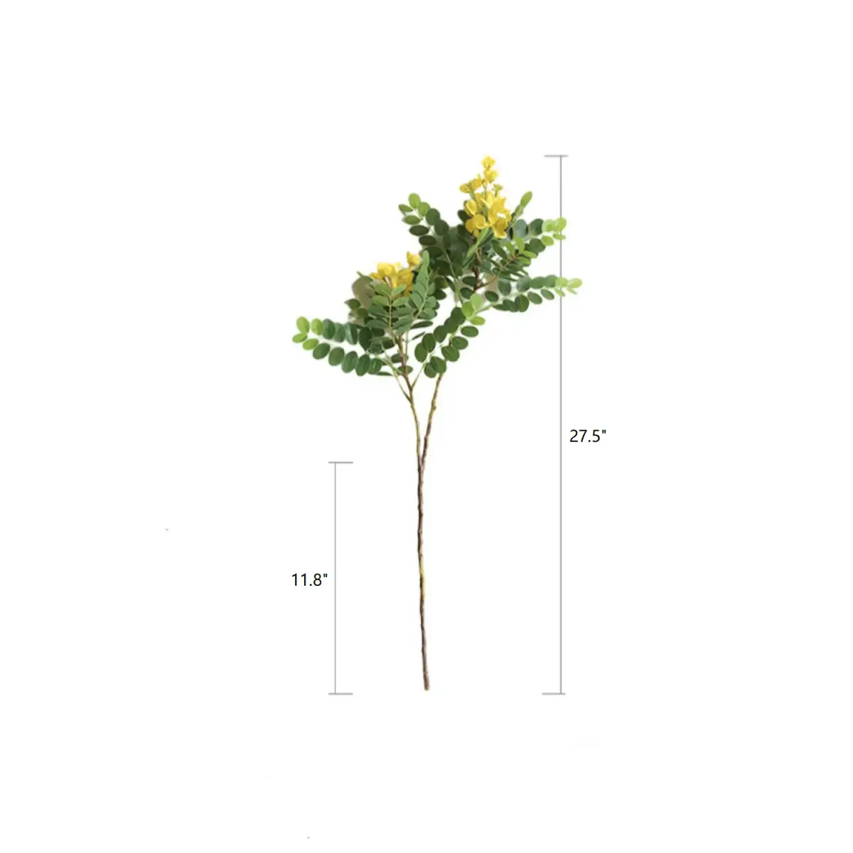 Yellow Acacia Flower Stem 27.5" Tall by RusticReach
